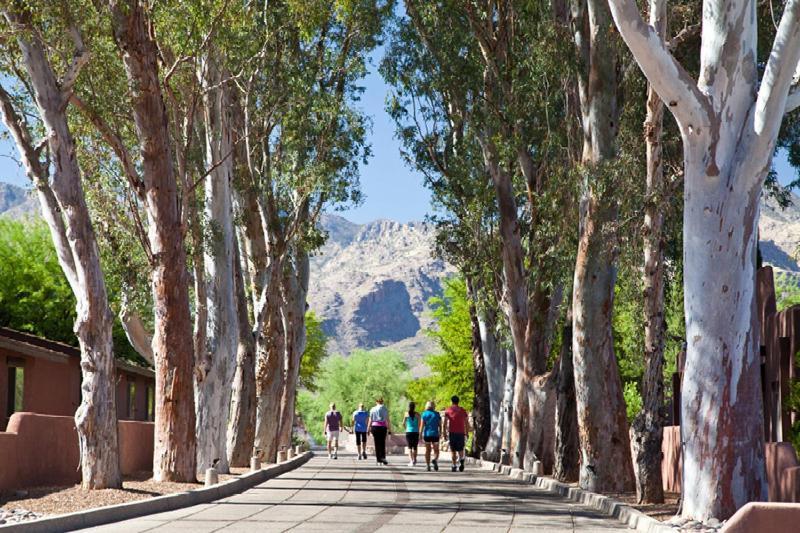 Mount Lemmont Canyon Ranch Tucson מראה חיצוני תמונה