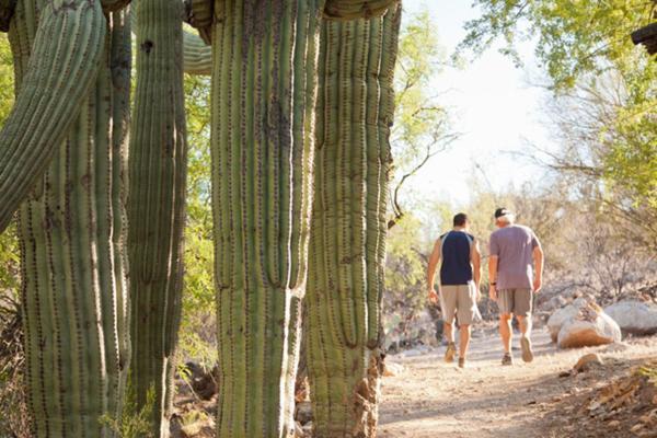 Mount Lemmont Canyon Ranch Tucson מראה חיצוני תמונה